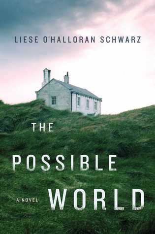 the possible world