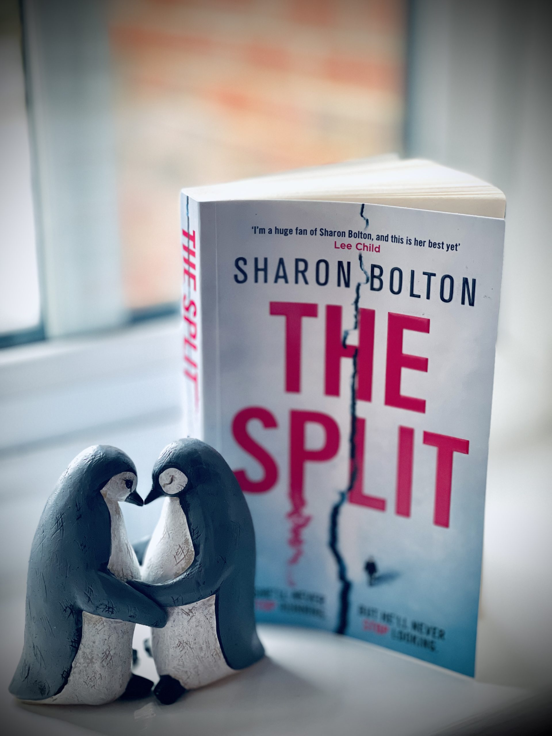 The Split Sharon Bolton
