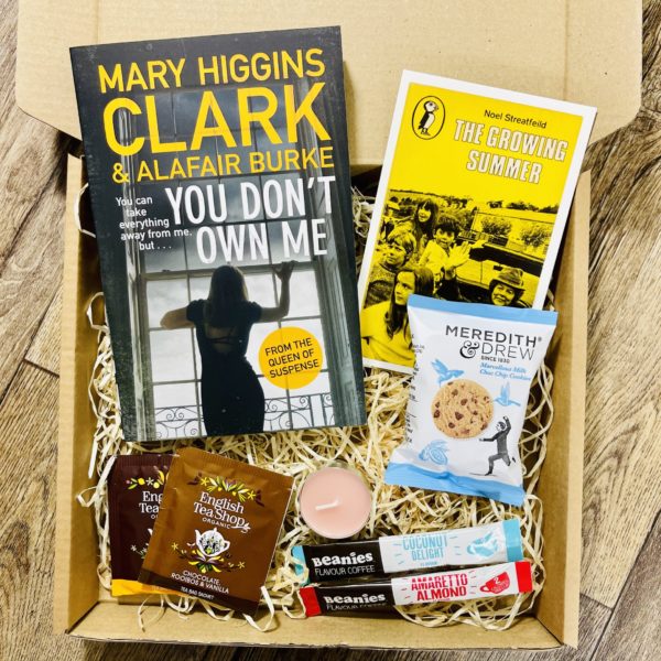 You Don't Own Me by Mary Higgins Clark