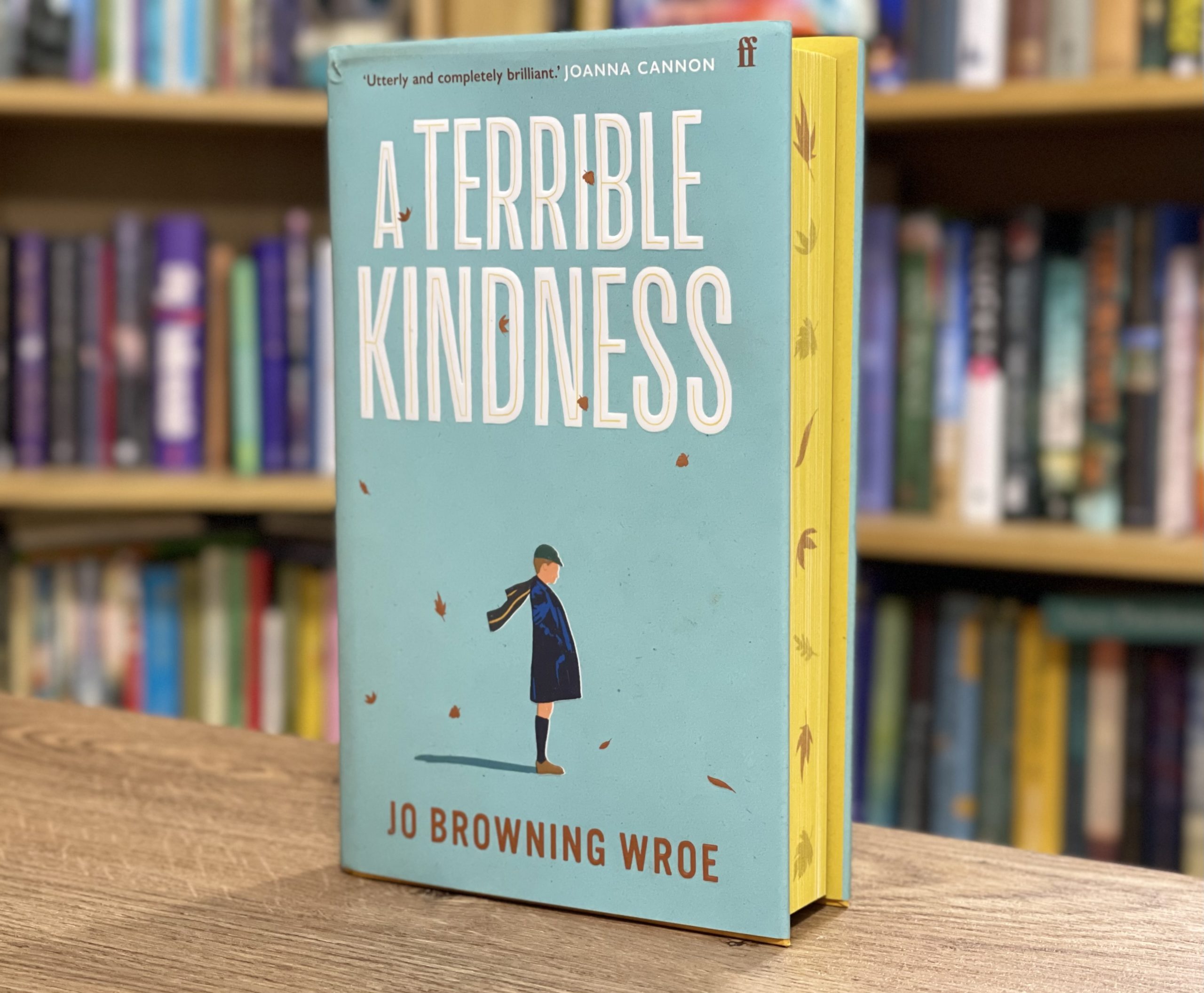 A Terrible Kindness By Jo Browning Wroe Hero