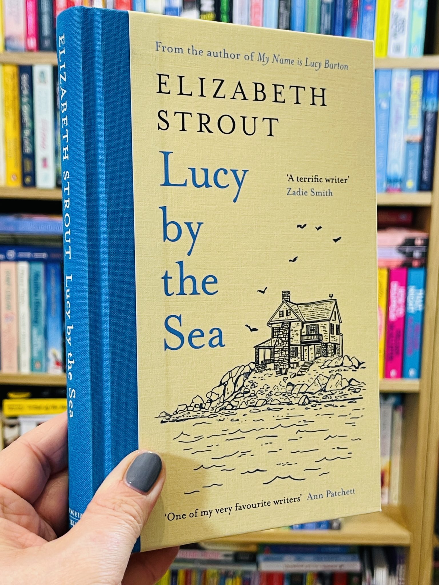 Lucy by the Sea by Elizabeth Strout Tea Leaves & Reads