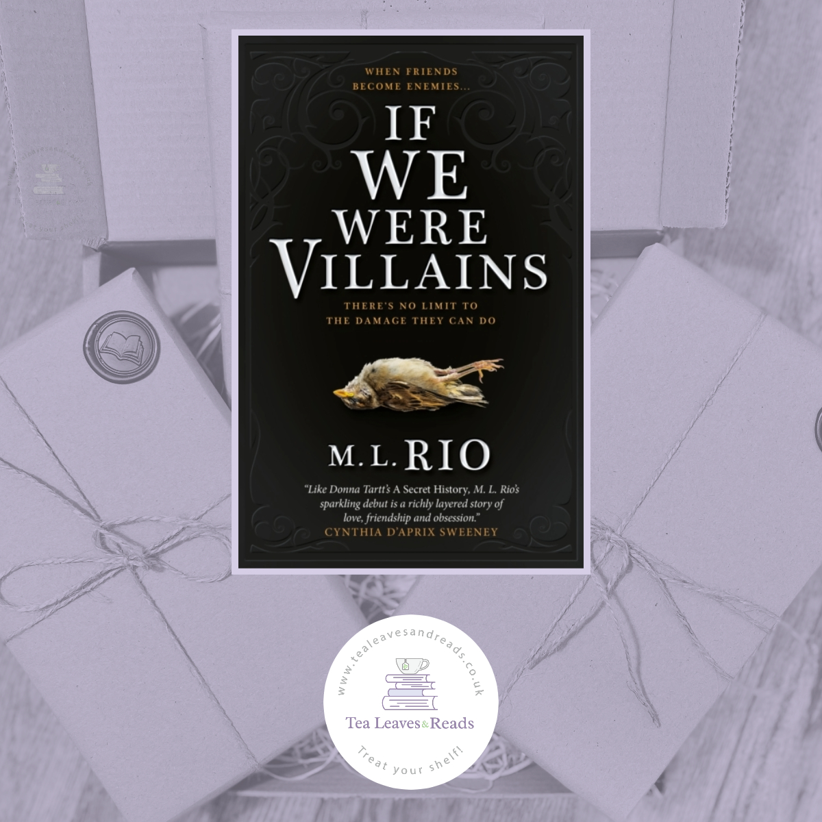 If We Were Villains by M.L. Rio - Tea Leaves & Reads