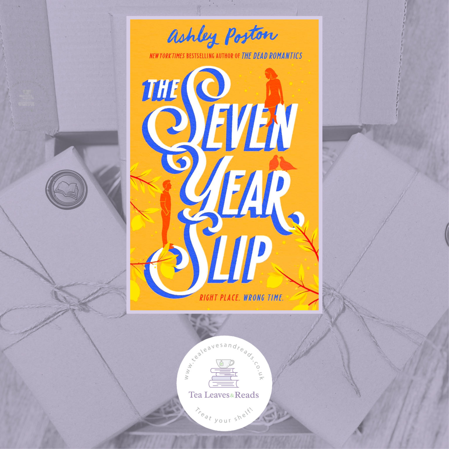 The Seven Year Slip by Ashley Poston Tea Leaves & Reads