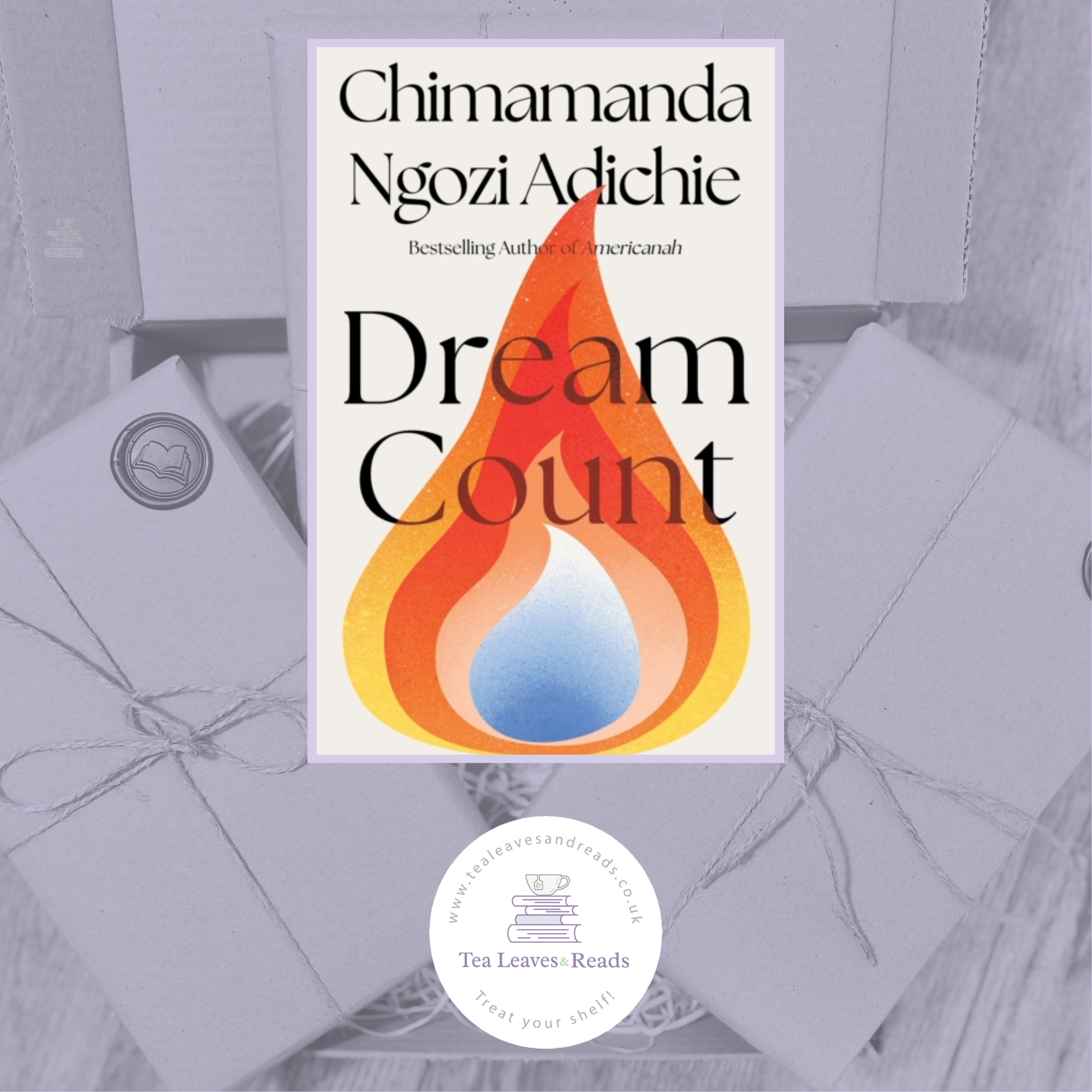 Dream Count by Chimamanda Ngozi Adichie