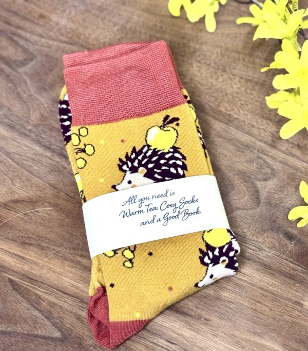 A Pair of Hedgehog and Apple Socks