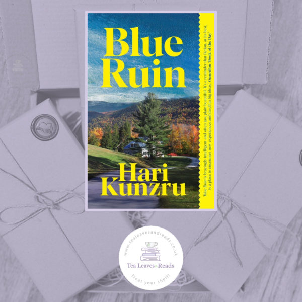 Blue Ruin by Hari Kunzru
