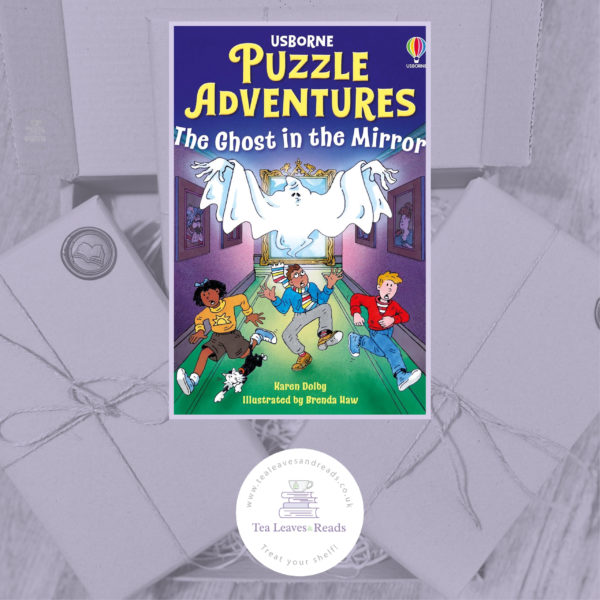 The Ghost in the Mirror (Puzzle Adventures) by Karen Dolby