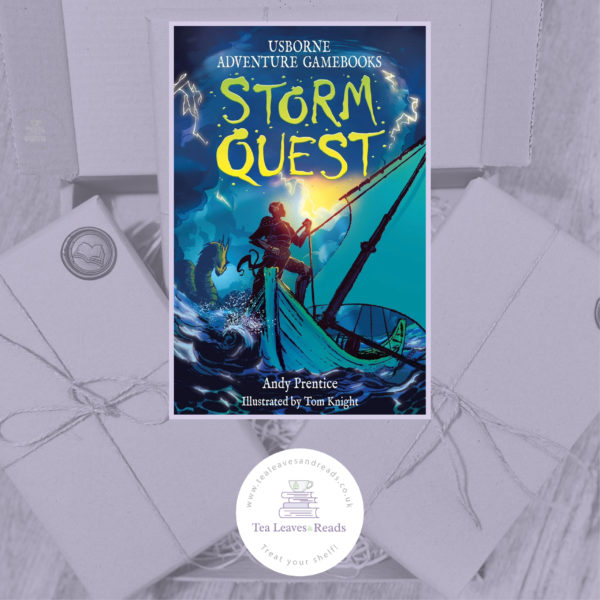 Storm Quest (Adventure Gamebooks) by Andy Prentice illustrated by Tom Knight