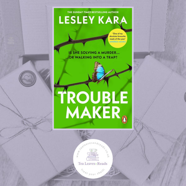 Trouble Maker by Lesley Kara