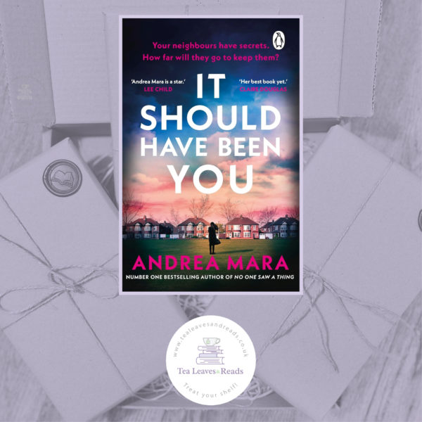 It Should Have Been You by Andrea Mara