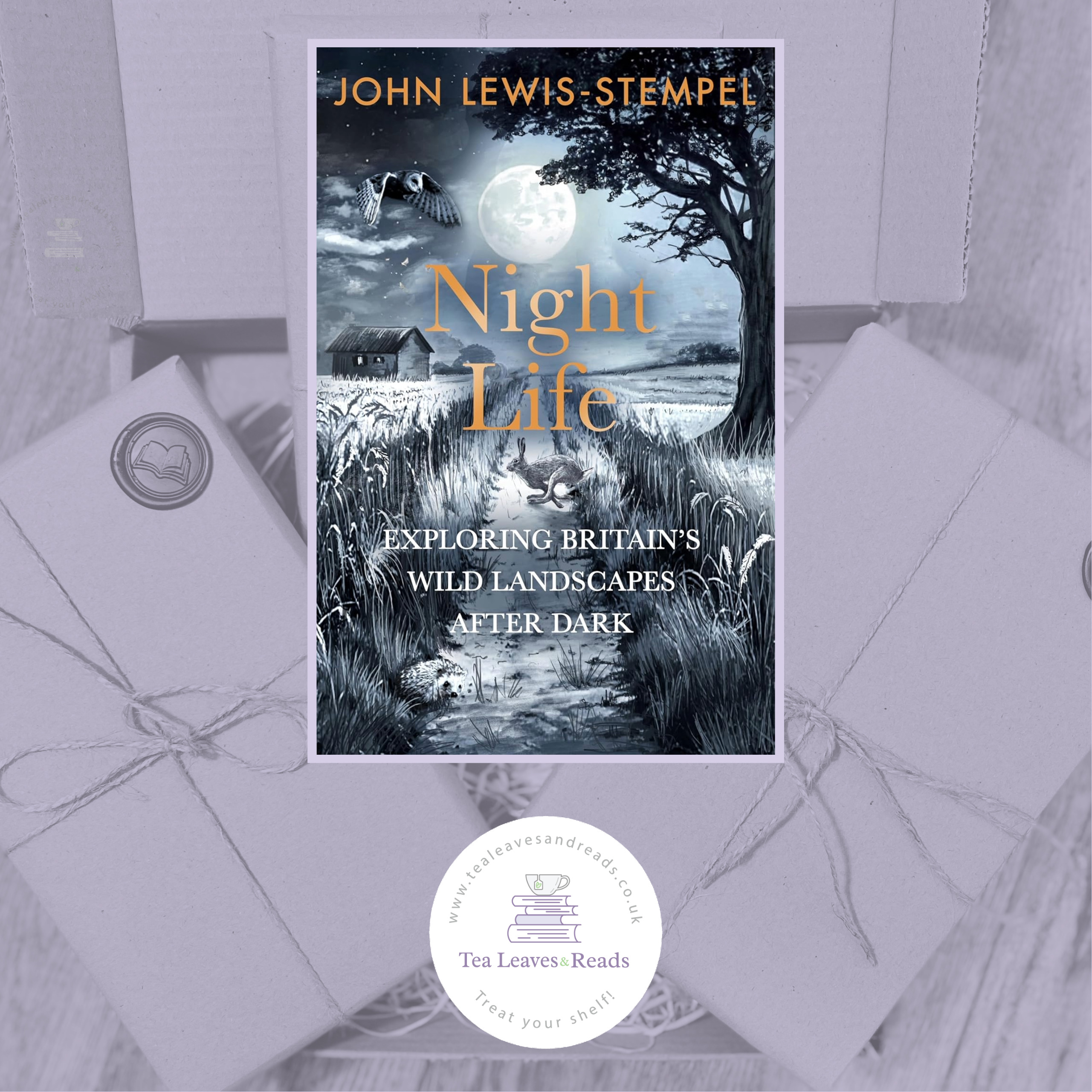 Night Life: Walking Britain's Wild Landscapes After Dark by John Lewis-Stempel