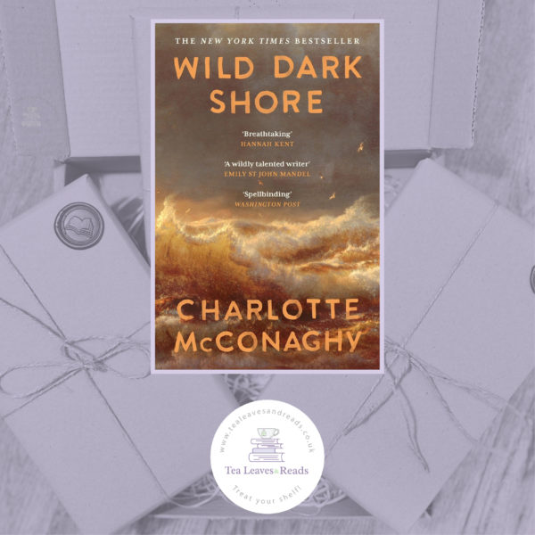 Wild Dark Shore by Charlotte McConaghy