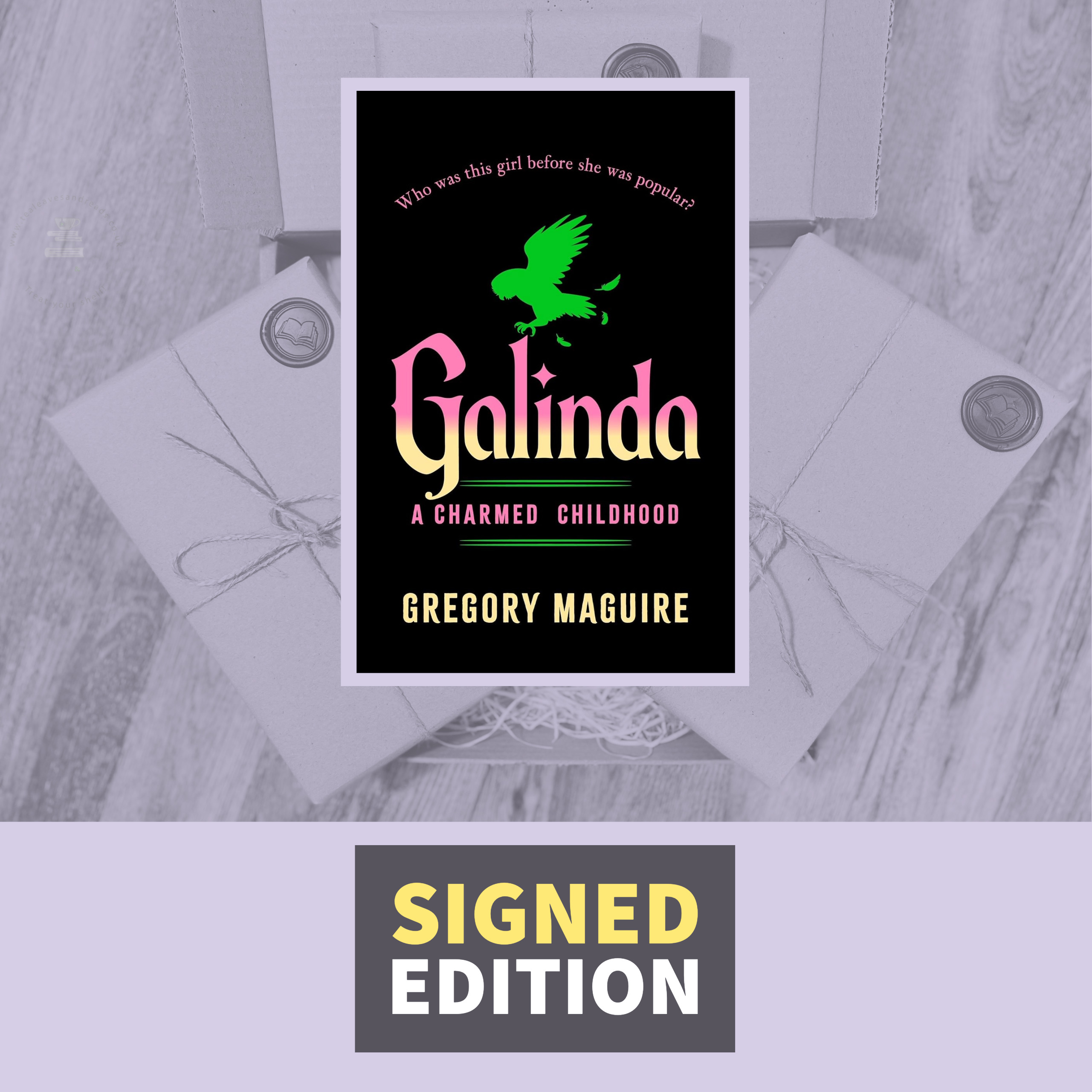 Galinda by Gregory Maquire (Signed by the Author)