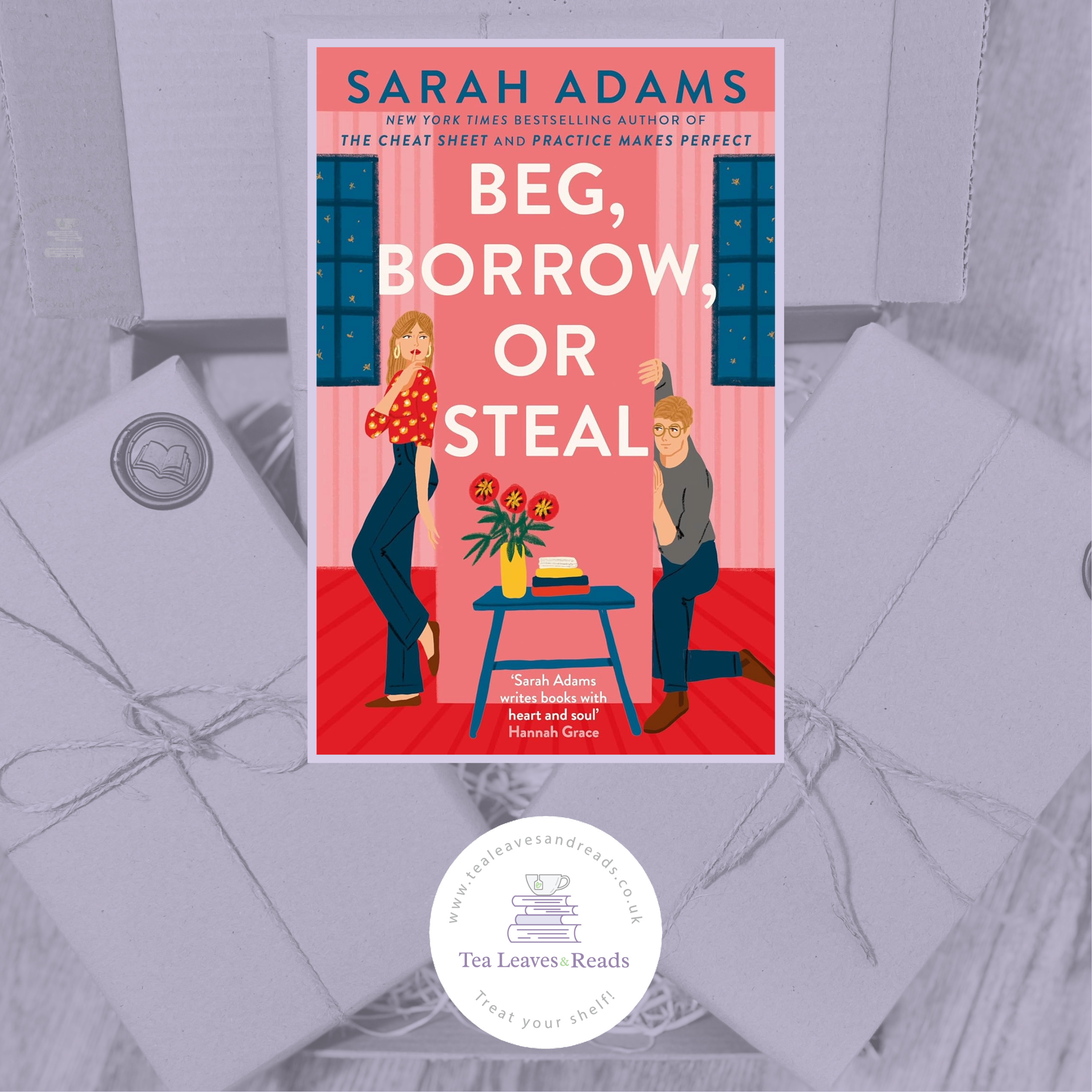Beg, Borrow or Steal by Sarah Adams