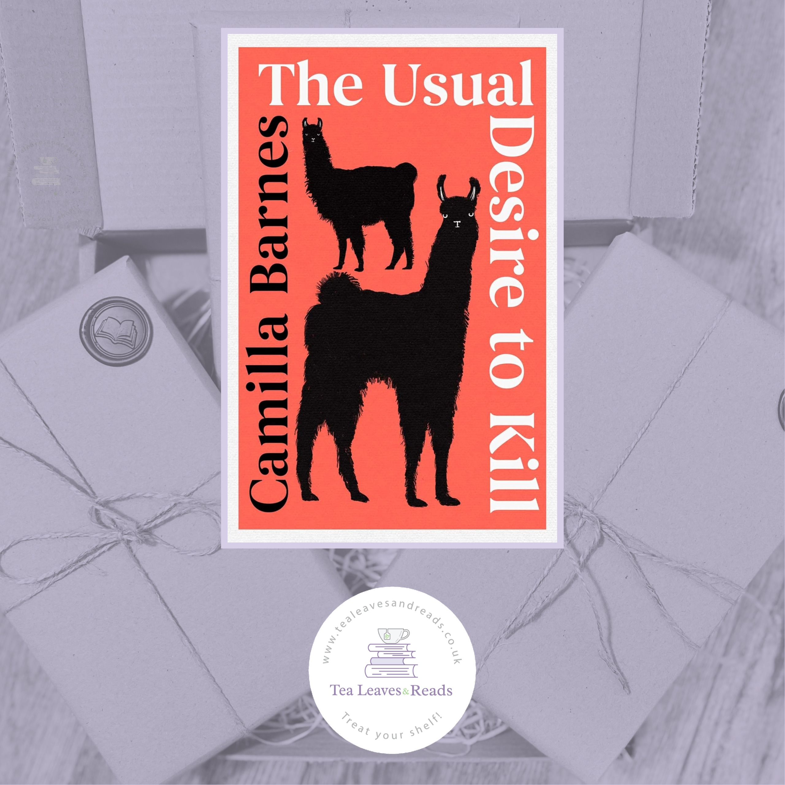 The Usual Desire to kill by Camilla Barnes