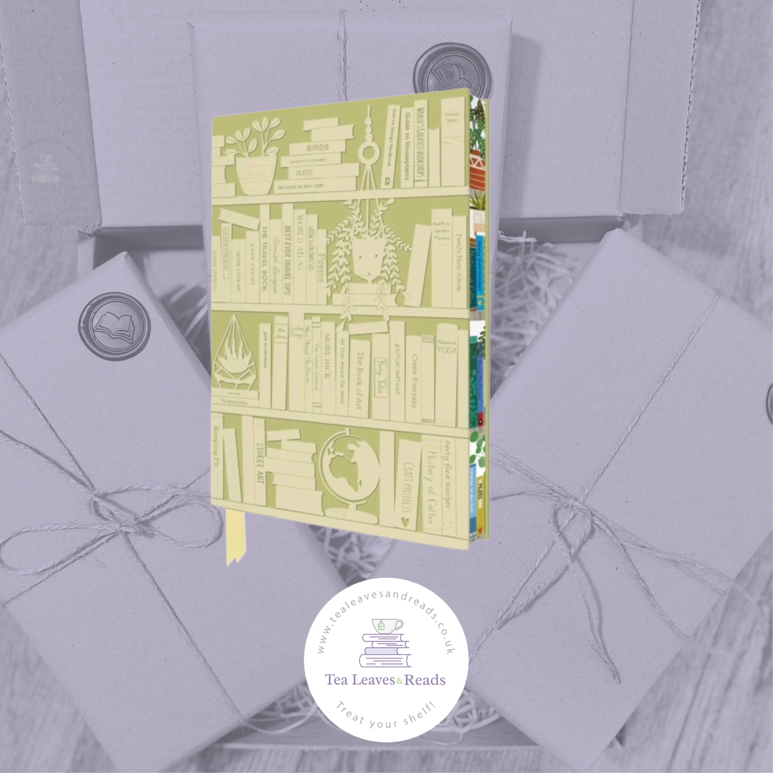 Georgia Breeze Bookshelves Artisan Art Notebook - Lined (Flame Tree Journals)