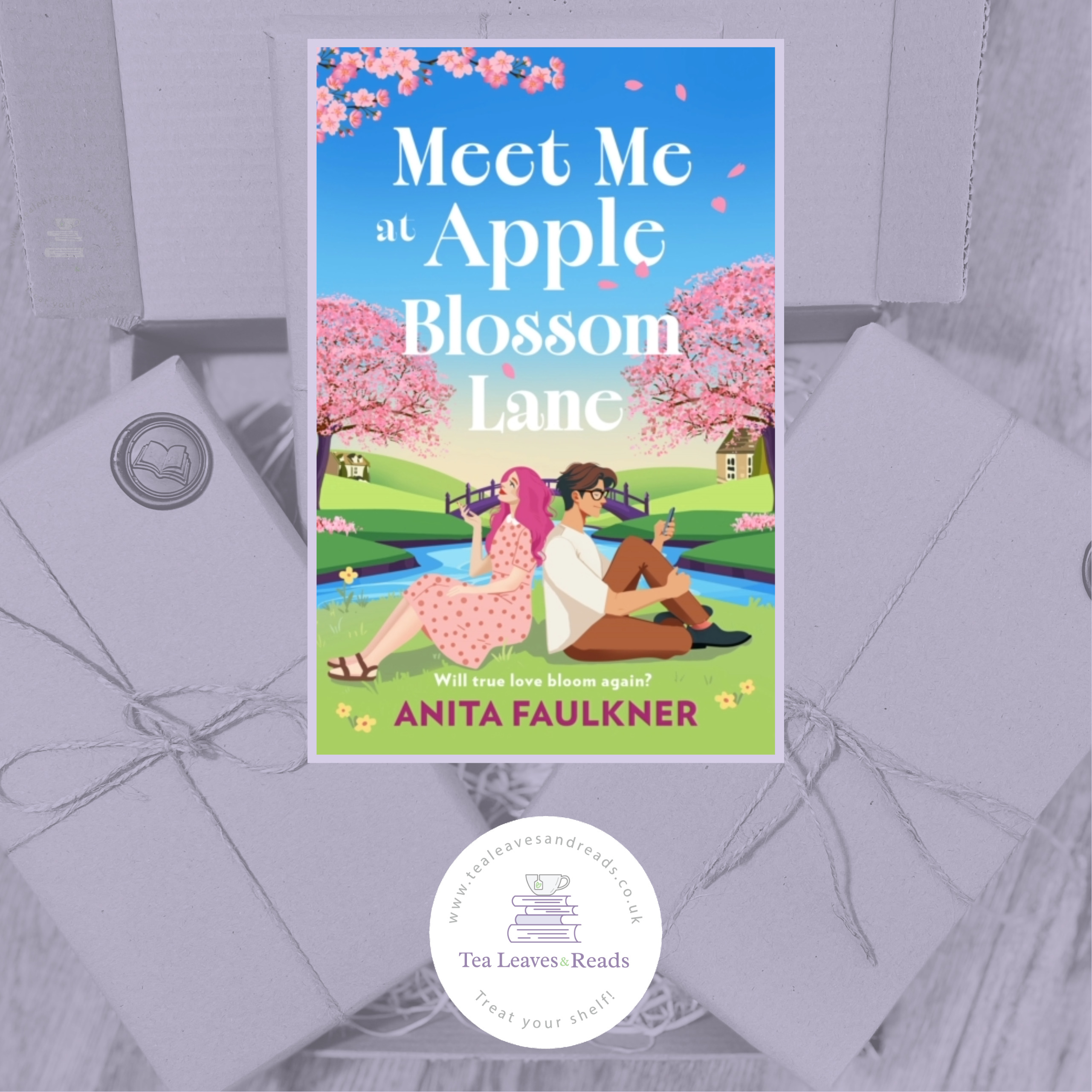 Meet Me at Apple Blossom Lane by Anita Faulkner