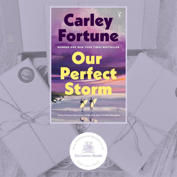 Our Perfect Storm by Carley Fortune