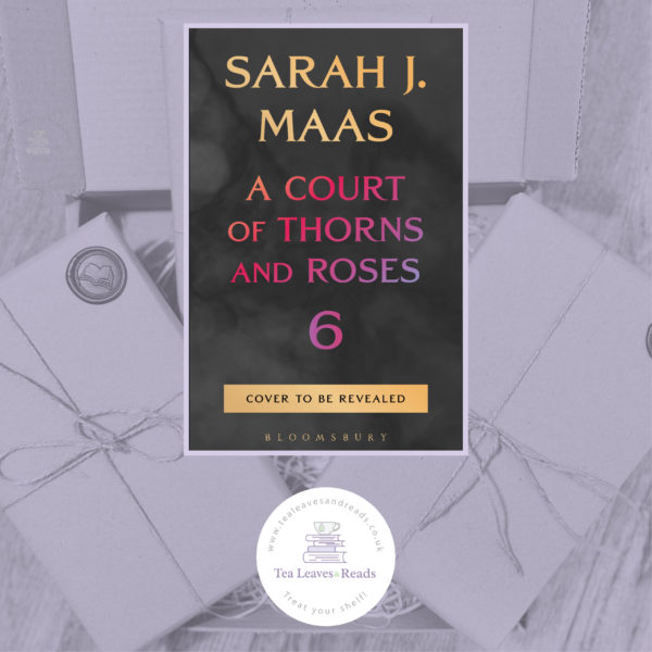 A Court of Thorns and Roses Book Six by Sarah J Maas