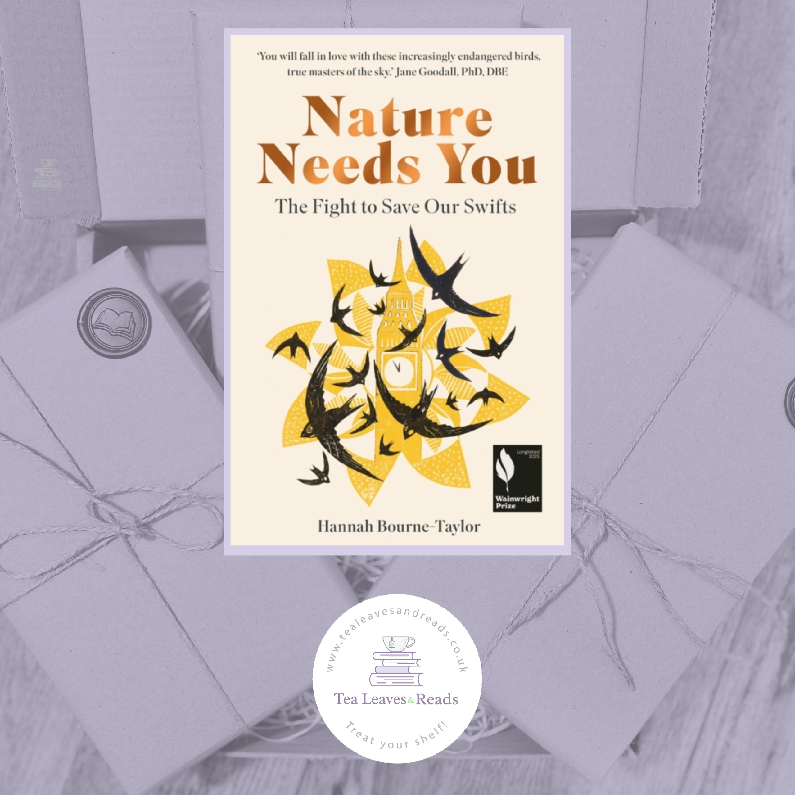 Nature Needs You: The Fight to Save Our Swifts by Hannah Bourne-Taylor