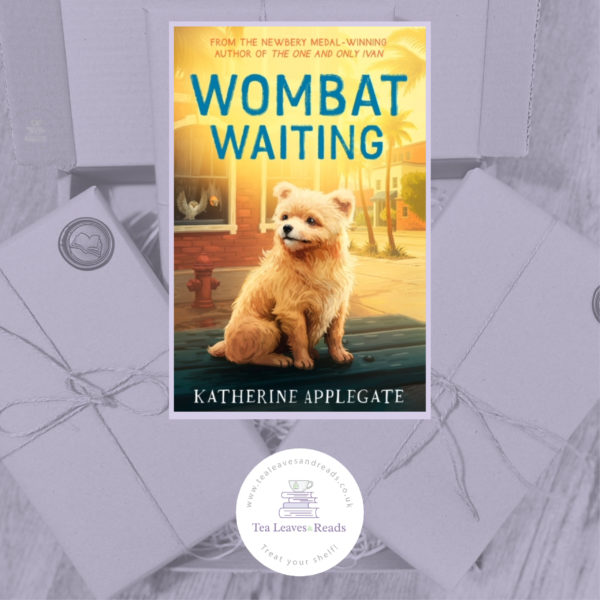 Wombat Waiting by Katherine Applegate