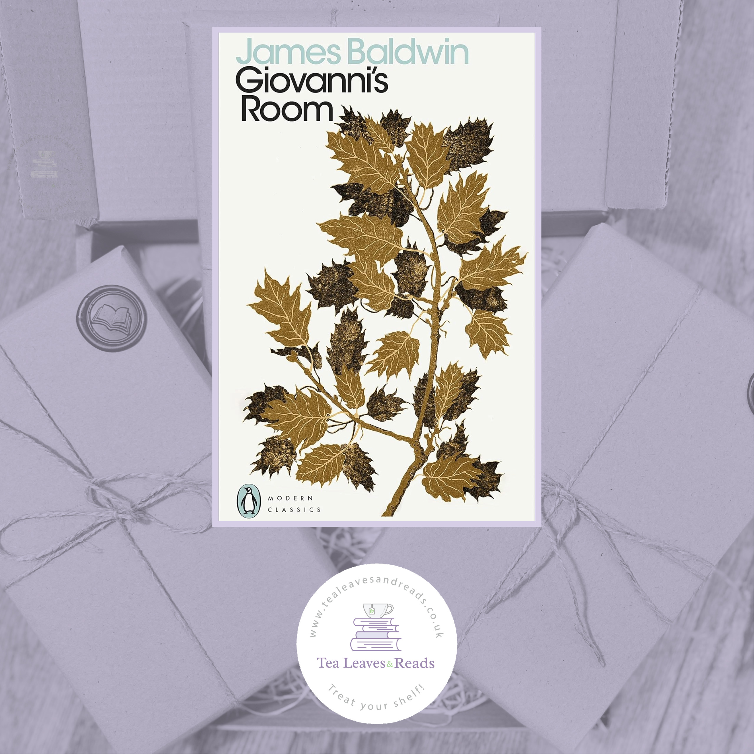 Giovanni's Room by James Baldwin