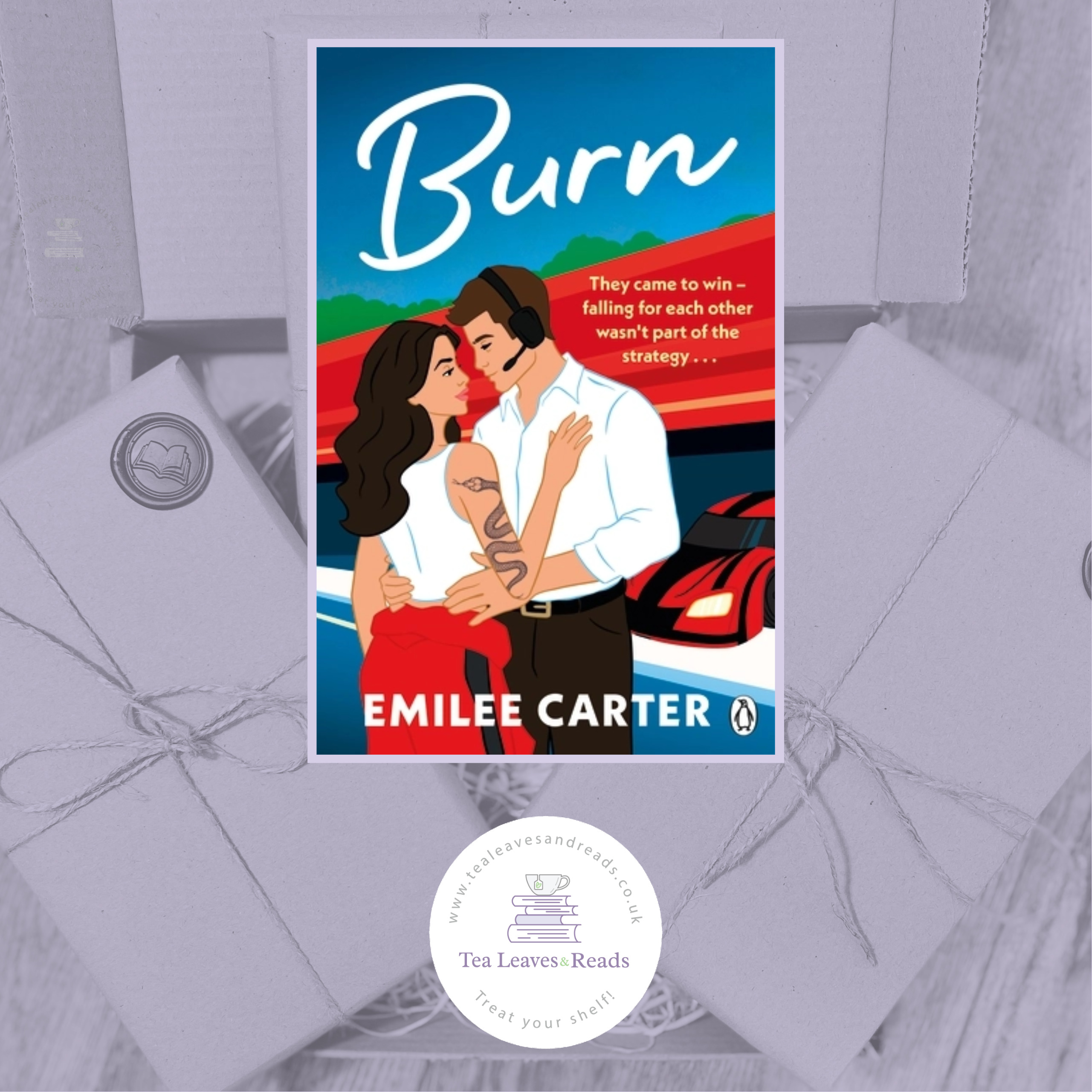 Burn by Emilee Carter