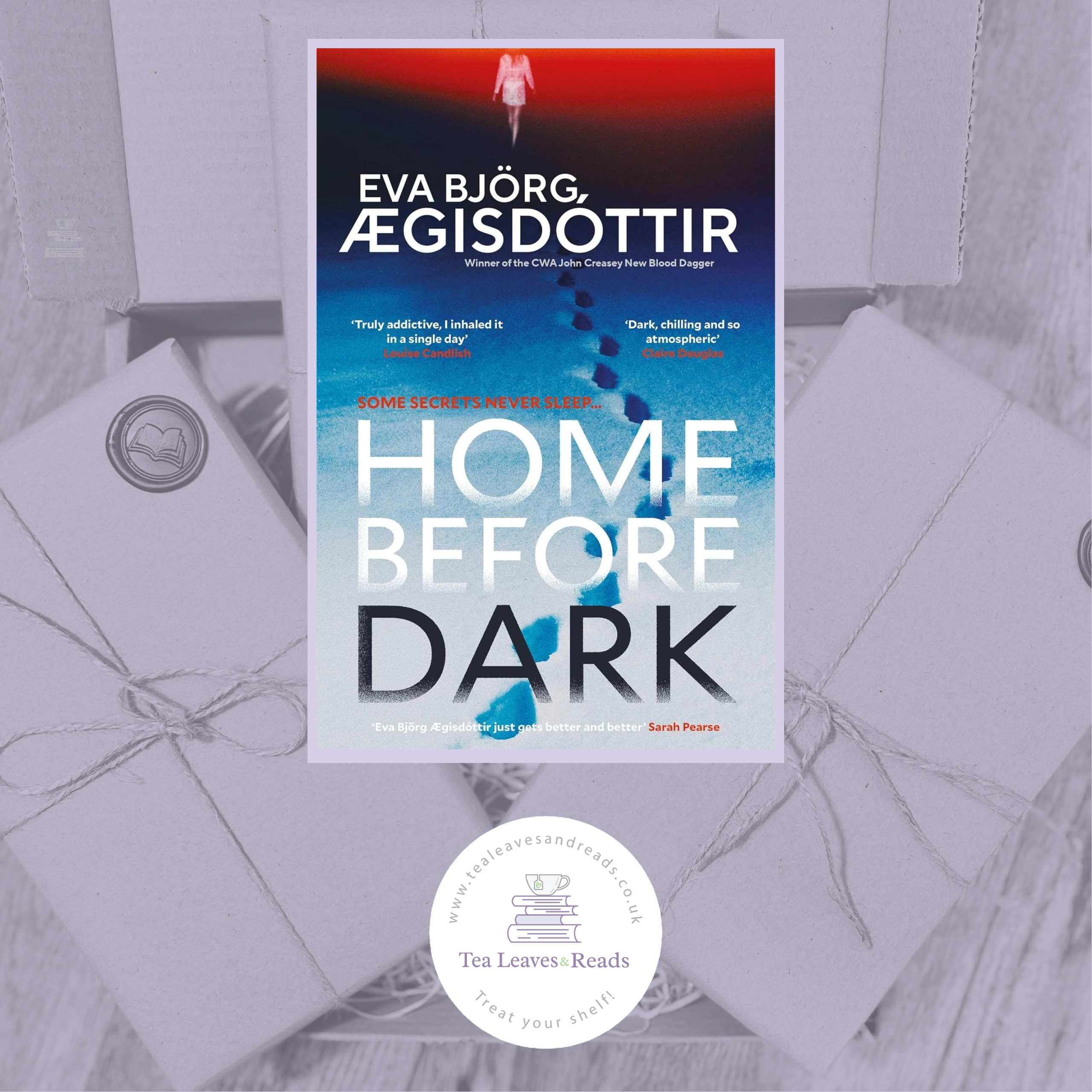 Home Before Dark by Eva Bjorg Egisdottir