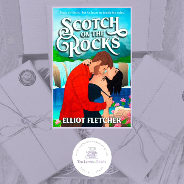 Scotch on the Rocks by Elliot Fletcher (Macabe Brothers Book Two)