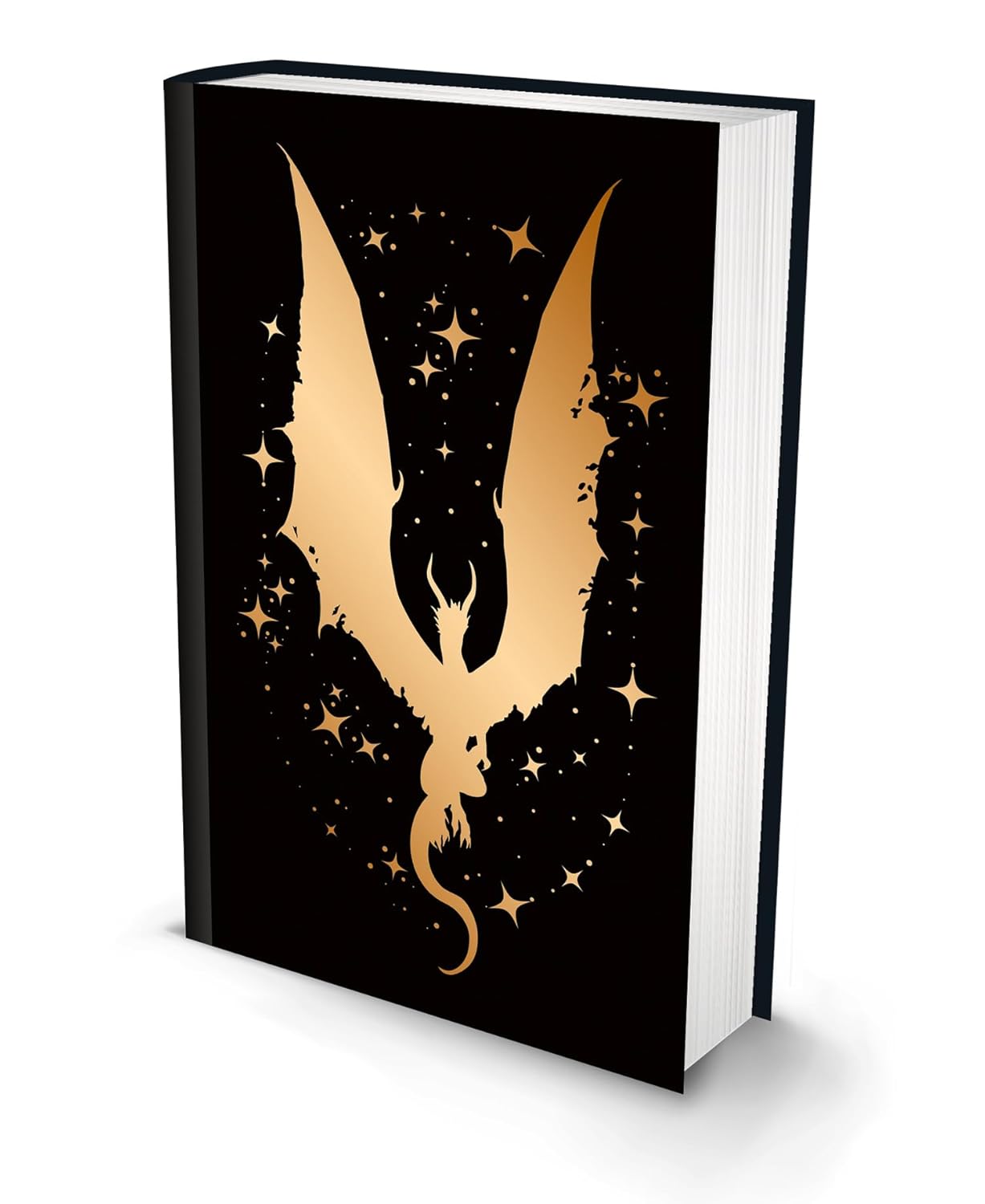 Rider of Dragons by A T Qureshi (Limited Edition) - Image 2