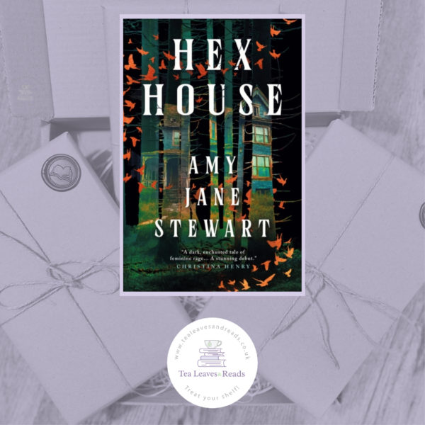 Hex House by Amy Jane Stewart