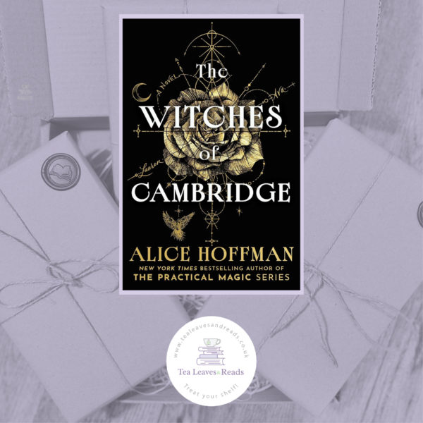 The Witches of Cambridge by Alice Hoffman
