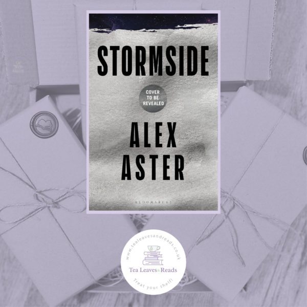 Stormside by Alex Aster