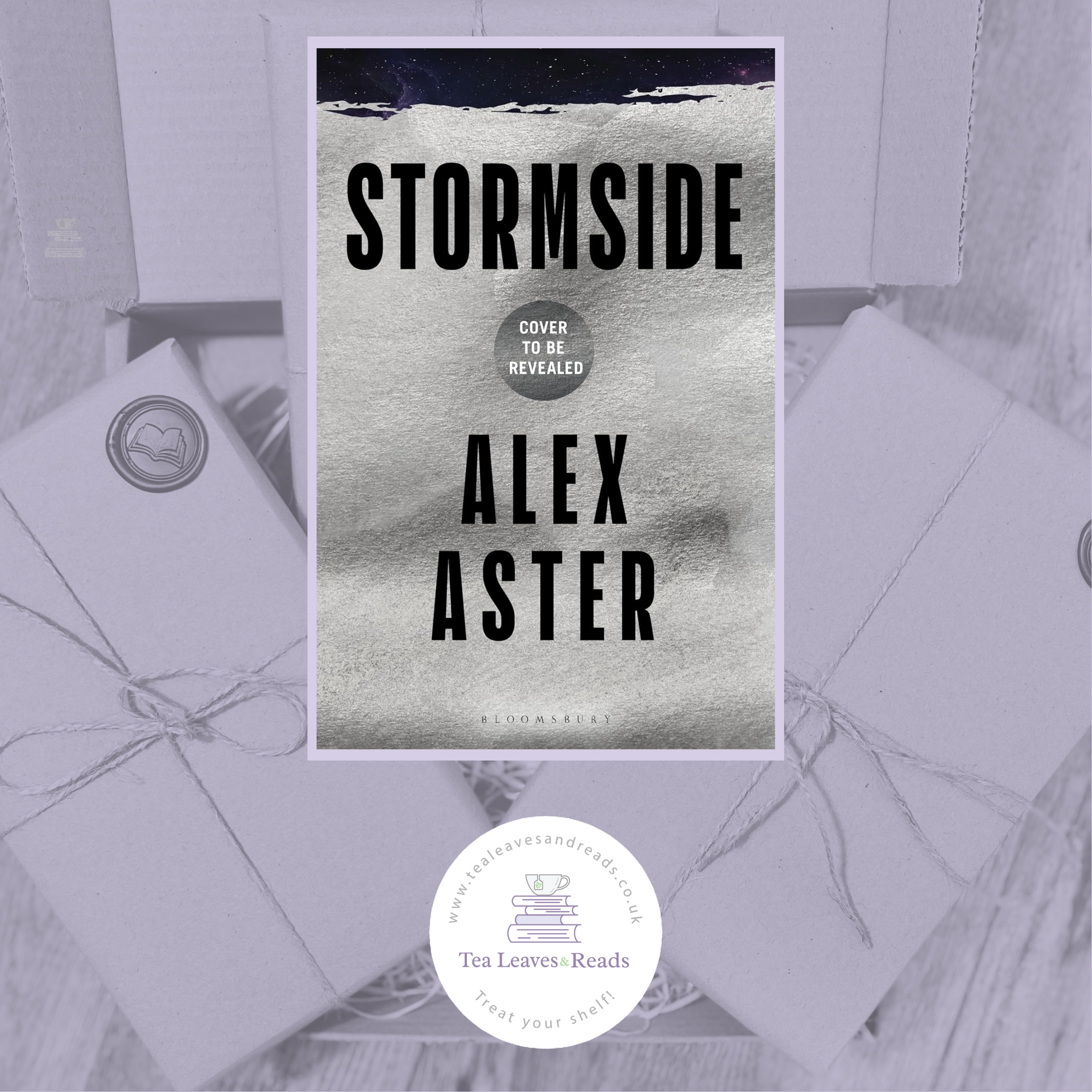 Stormside by Alex Aster