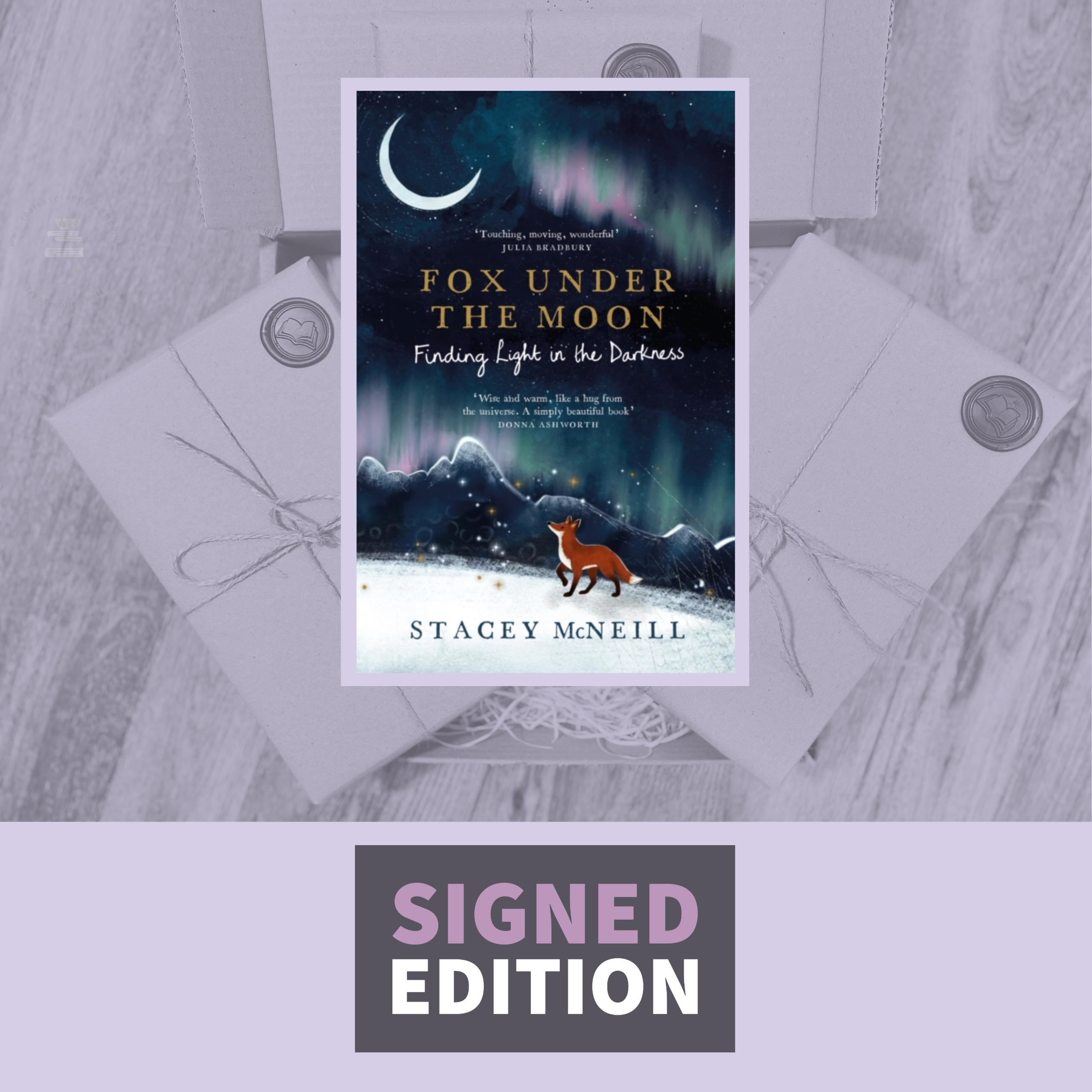 Fox Under the Moon: Finding Light in the Darkness by Stacey McNeill (Signed & Dedicated Edition)