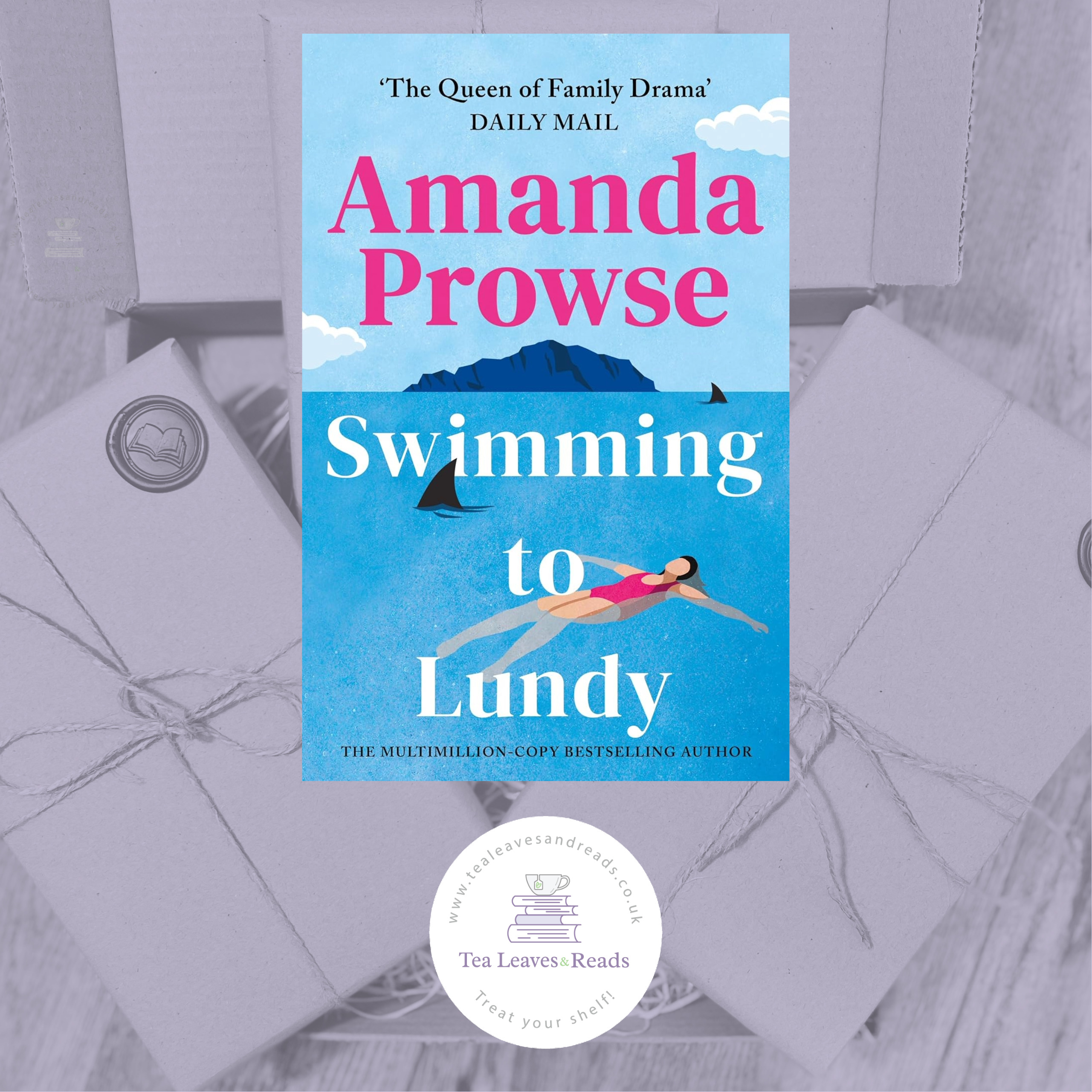 Swimming to Lundy by Amanda Prowse