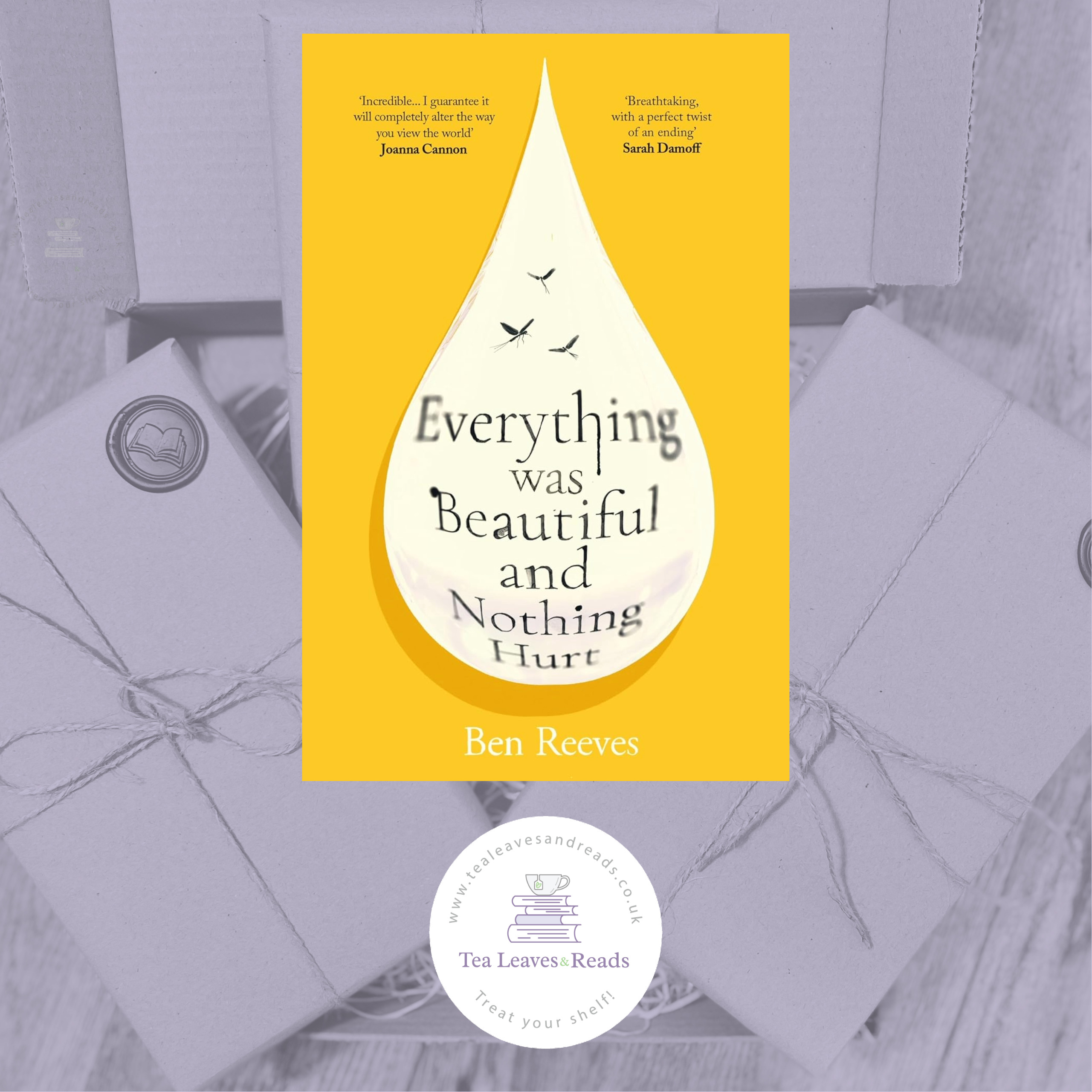 Everything Was Beautiful and Nothing Hurt by Ben Reeves