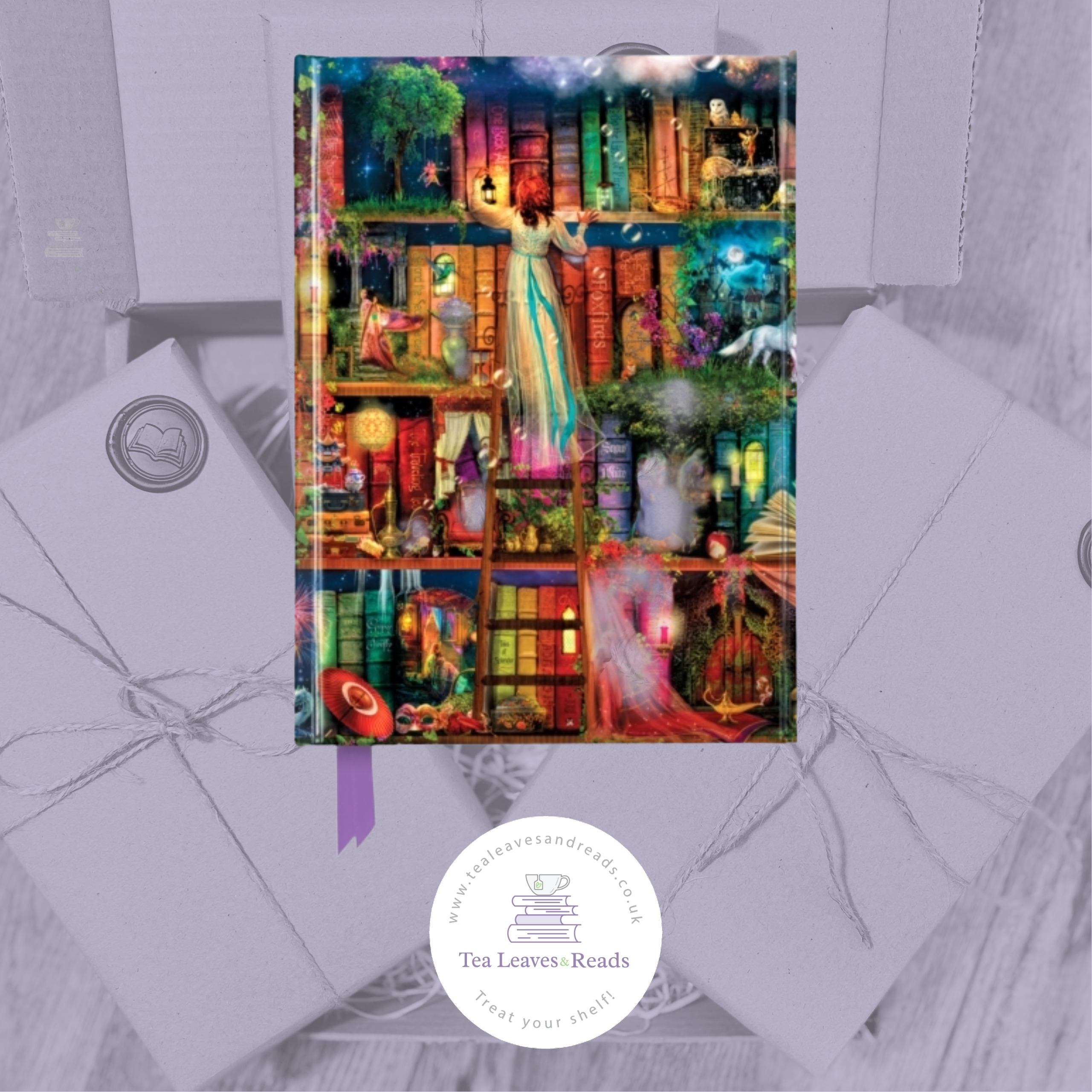 Aimee Stewart: Treasure Hunt Bookshelves Foiled Journal (Flame Tree Journals)