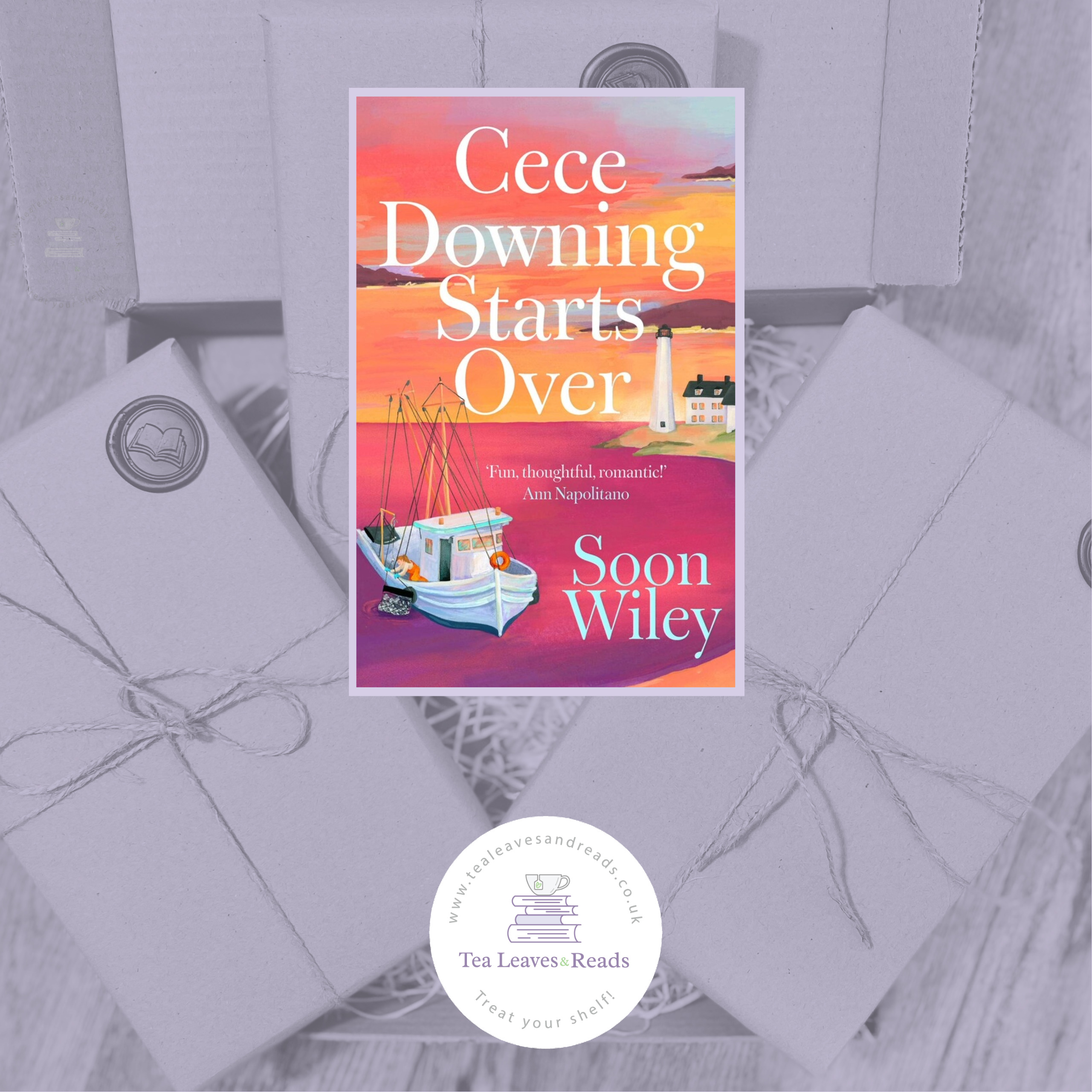 Cece Downing Starts Over by Soon Wiley