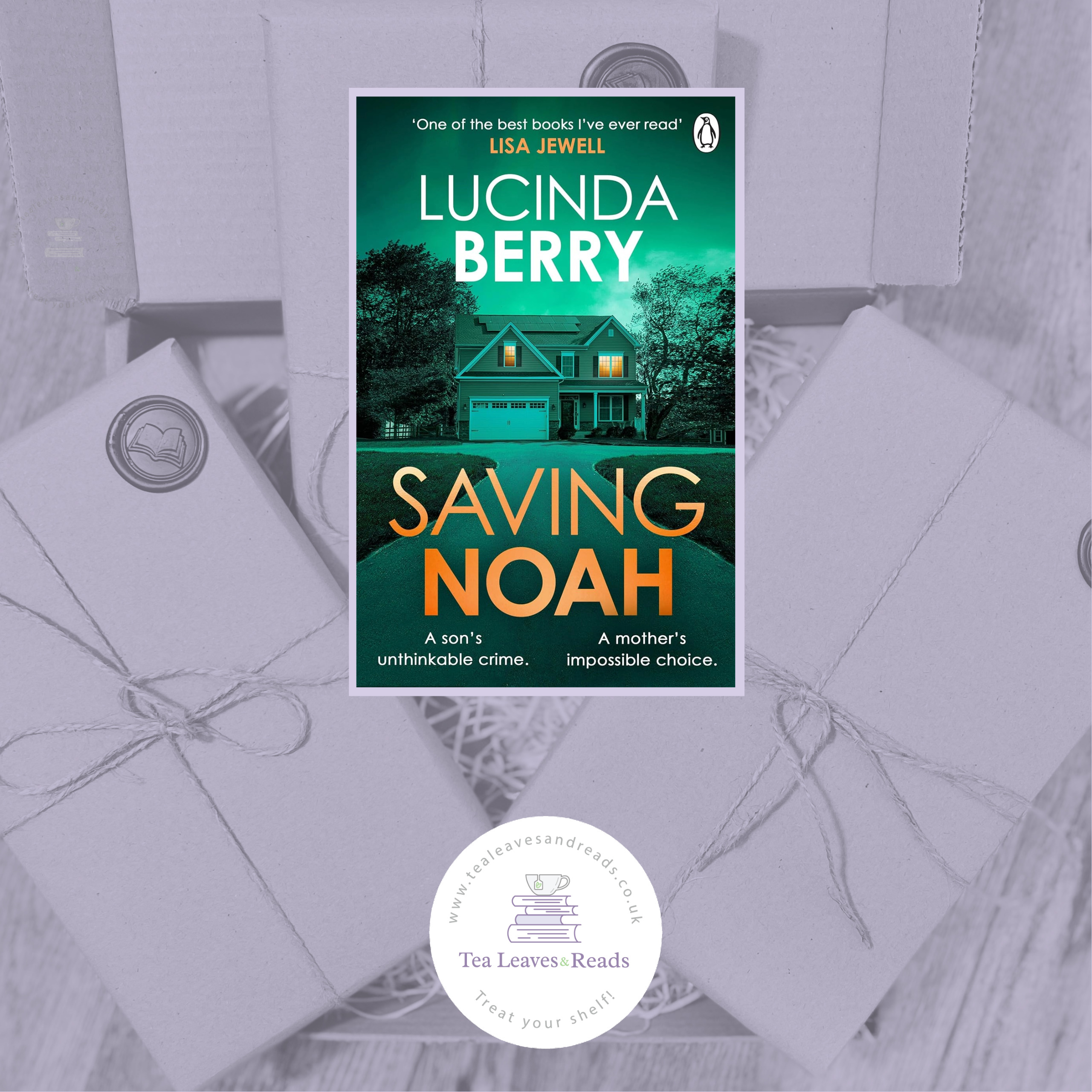 Saving Noah by Lucinda Berry