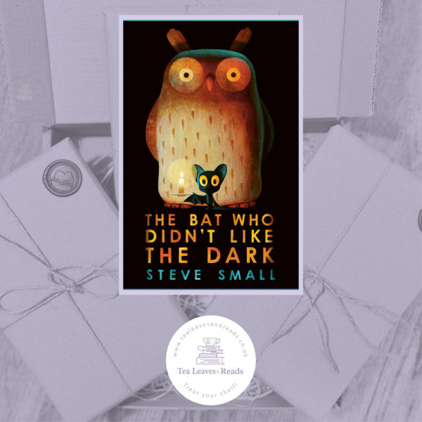 The Bat Who Didn't Like the Dark by Steve Small