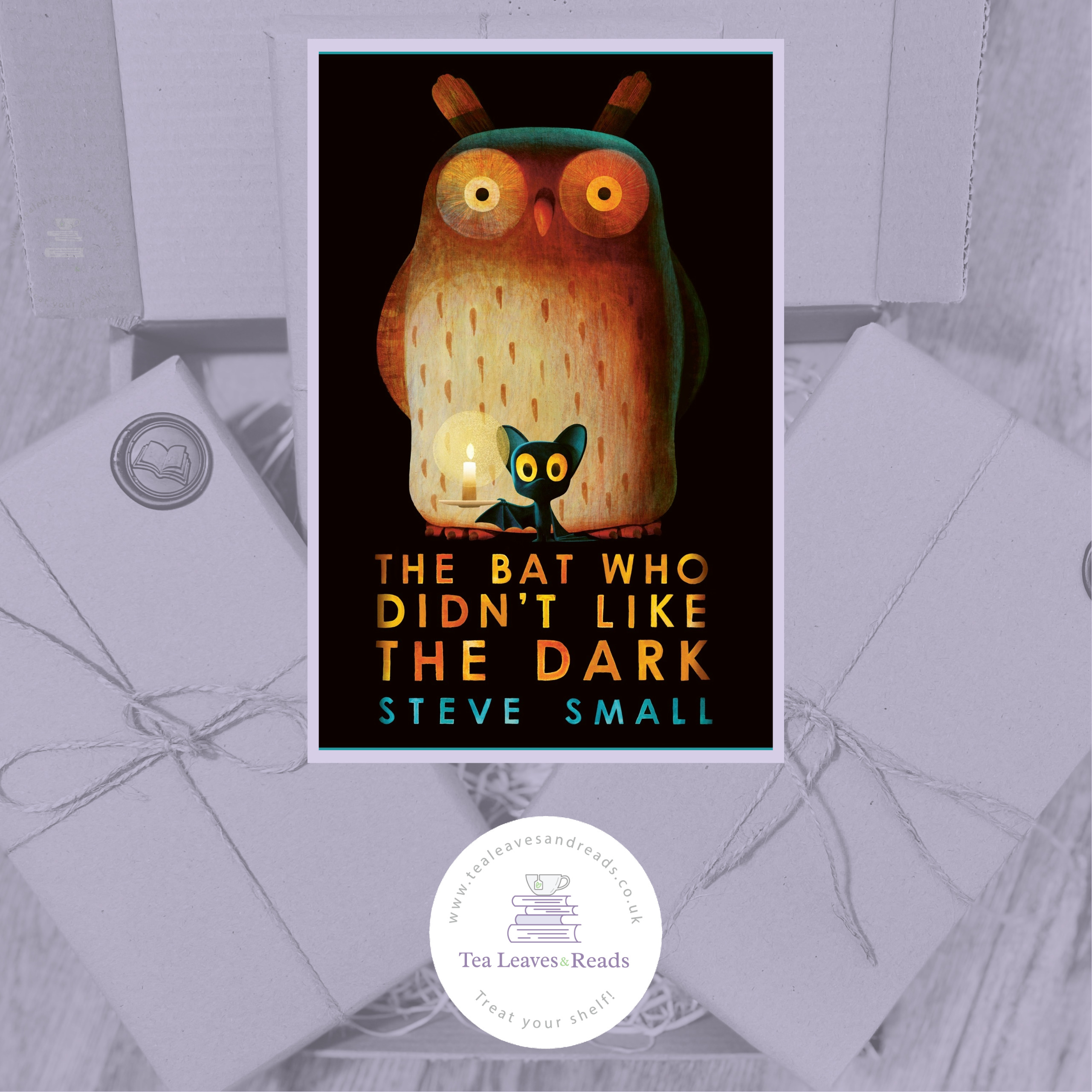 The Bat Who Didn't Like the Dark by Steve Small