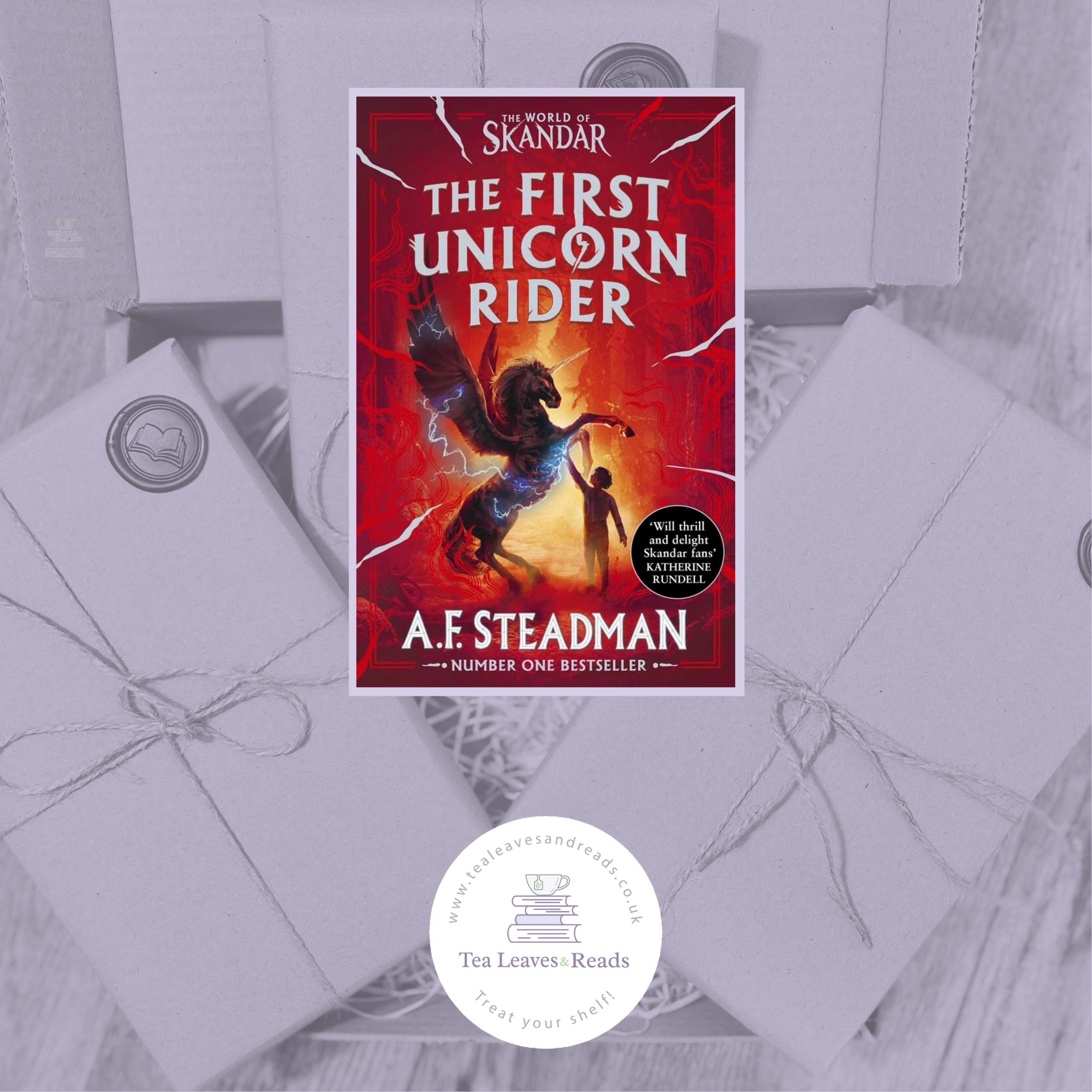 The First Unicorn Rider by A.F. Steadman