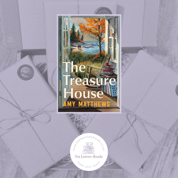 The Treasure House by Amy Matthews