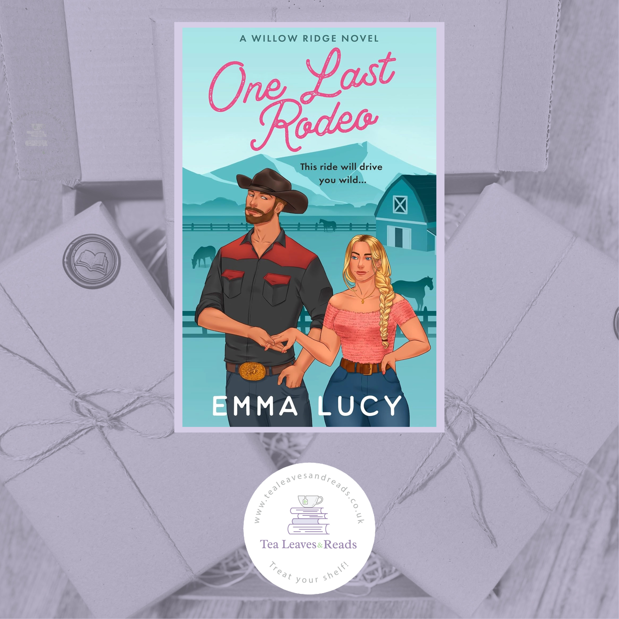 One Last Rodeo by Emma Lucy (Willow Ridge Book 3)