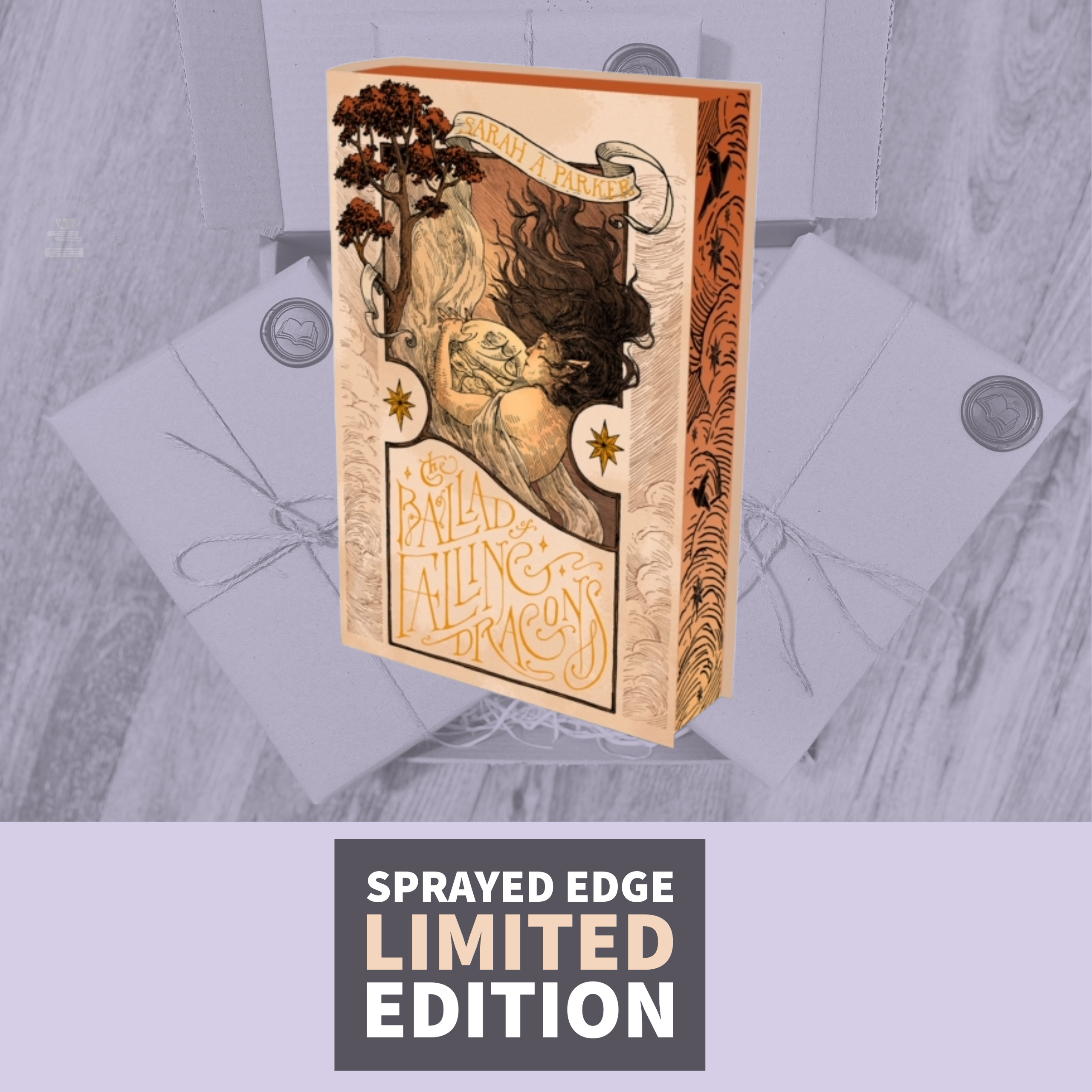 The Ballad of Falling Dragons by Sarah A. Parker (Deluxe Limited Edition)