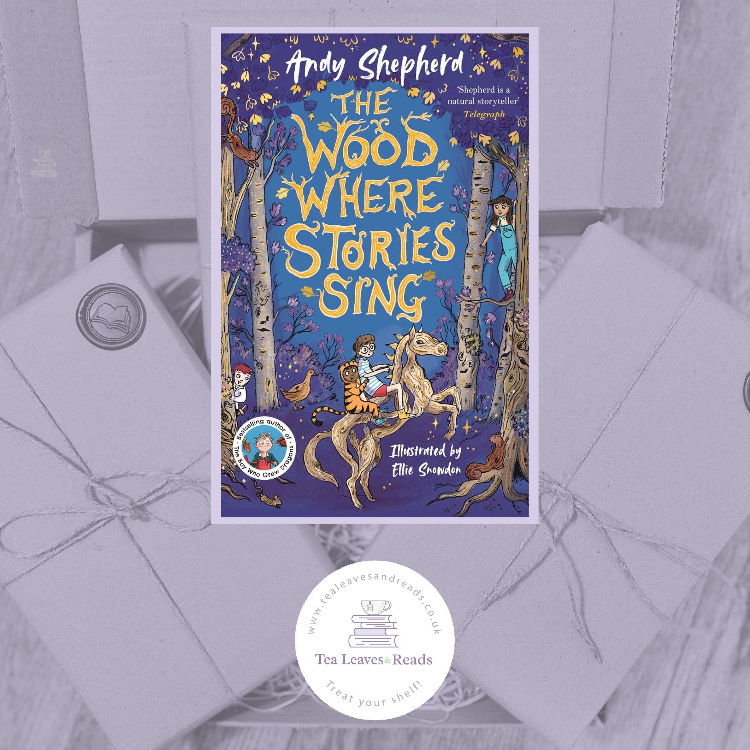 The Wood Where the Stories Sing by Andy Shepherd Illustrated by Ellie Snowdon