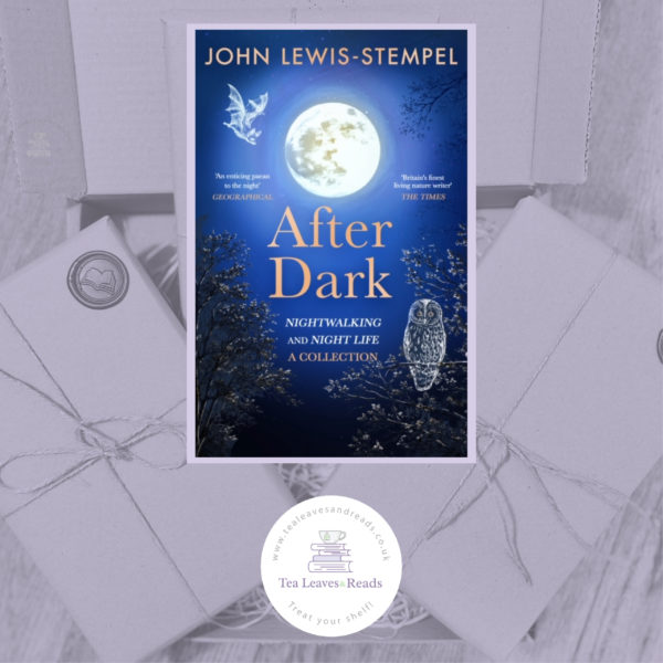 After Dark by John Lewis-Stempel