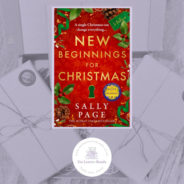 New Beginnings for Christmas by Sally Page