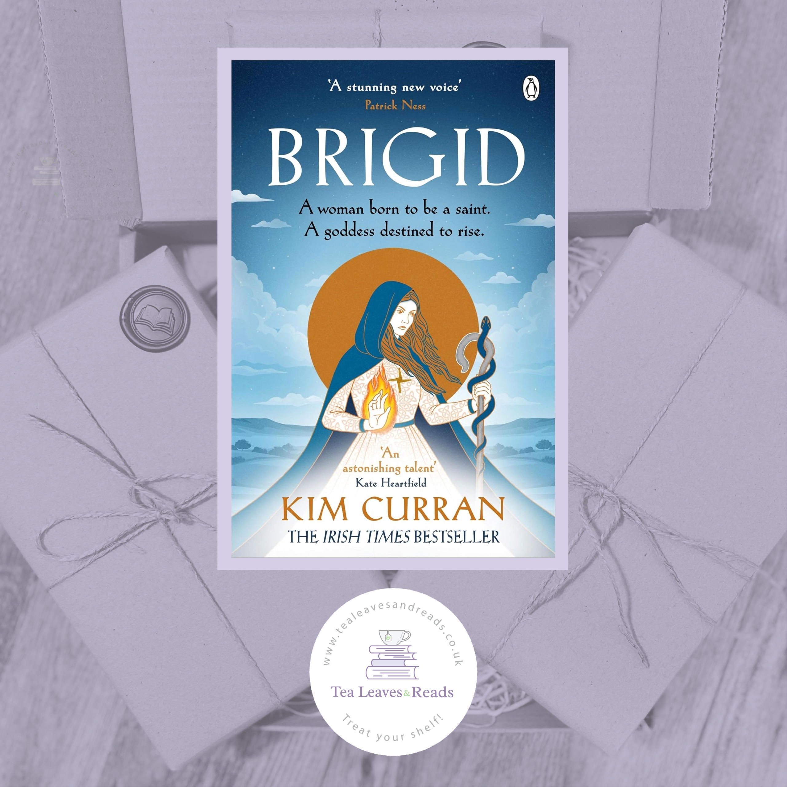 Brigid by Kim Curran